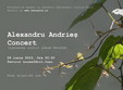 concert alexandru andries 