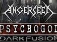 concert angerseed si psychogod in club damage