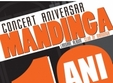 concert aniversar mandinga la bucuresti