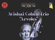 concert avishai cohen