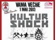 concert balkan gypsy punk metal la copac