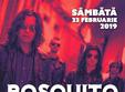 concert bosquito de dragobete