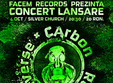 concert carbon
