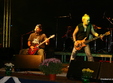 concert cargo  14