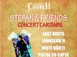 concert caritabil pentru stefan la the silver church