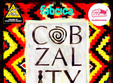 concert cobzality fabrica