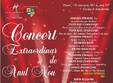 concert extraordinar de anul nou la cluj napoca