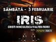 concert iris cristi minculescu valter i boro