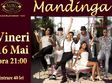 concert mandinga la cluj napoca