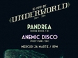 concert pandrea si anemic disco in club underworld