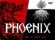 concert phoenix la craiova