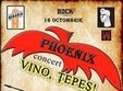 concert phoenix vino tepes la beraria h