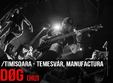 concert rd g hu in timisoara temesvar