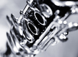 concert simfonic la filarmonica oltenia craiova