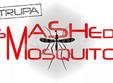 concert smashed mosquito la coyote cafe