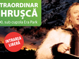 concert stefan hrusca la oradea in 2014