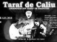 concert taraf de caliu