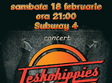 concert teskohippies la bacau