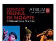 concert trenul de noapte la sibiu