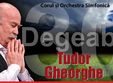 concert tudor gheorghe la arad degeaba 30