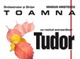 concert tudor gheorghe la timisoara