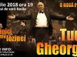 concert tudor gheorghe randunici printre lozinci