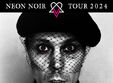 concert ville valo