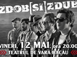 poze concert zdob si zdub