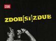 concert zdob si zdub