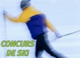 concurs de sch paltinis