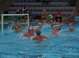 csm frigo conty oradea dinamo bucuresti