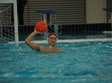 csm frigo conty oradea steaua bucuresti