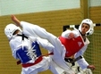 cupa bihorul rono la taekwon do