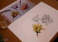 curs de pictura pentru adul i online