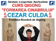 curs qigong formarea cinabrului cezar culda 18 23 mai 2015 hotel 