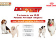 dogfest 2017 hornbach timi oara