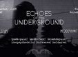 echoes of the underground control club
