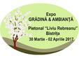 expo gradina i ambian a 