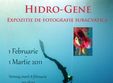 expozitia de fotografie subacvatica hidro gene 