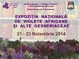expozitia nationala de violete africane si alte gesneriaceae