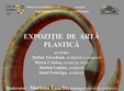 expozitie de arta plastica