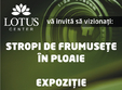 expozitie de fotografie stropi de frumusete in ploaie 