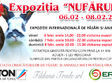 expozitie internationala de pasari si animale mici