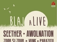 festivalul blaj alive 2014