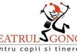 festivalul international magic fest editia a ii a