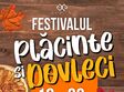 festivalul placinte i dovleci