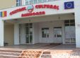 festivalul primarilor artisti