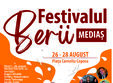 festivalului berii media 