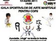 gala sportivilor de arte martiale pentru copii