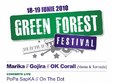  green forest festival la timisoara